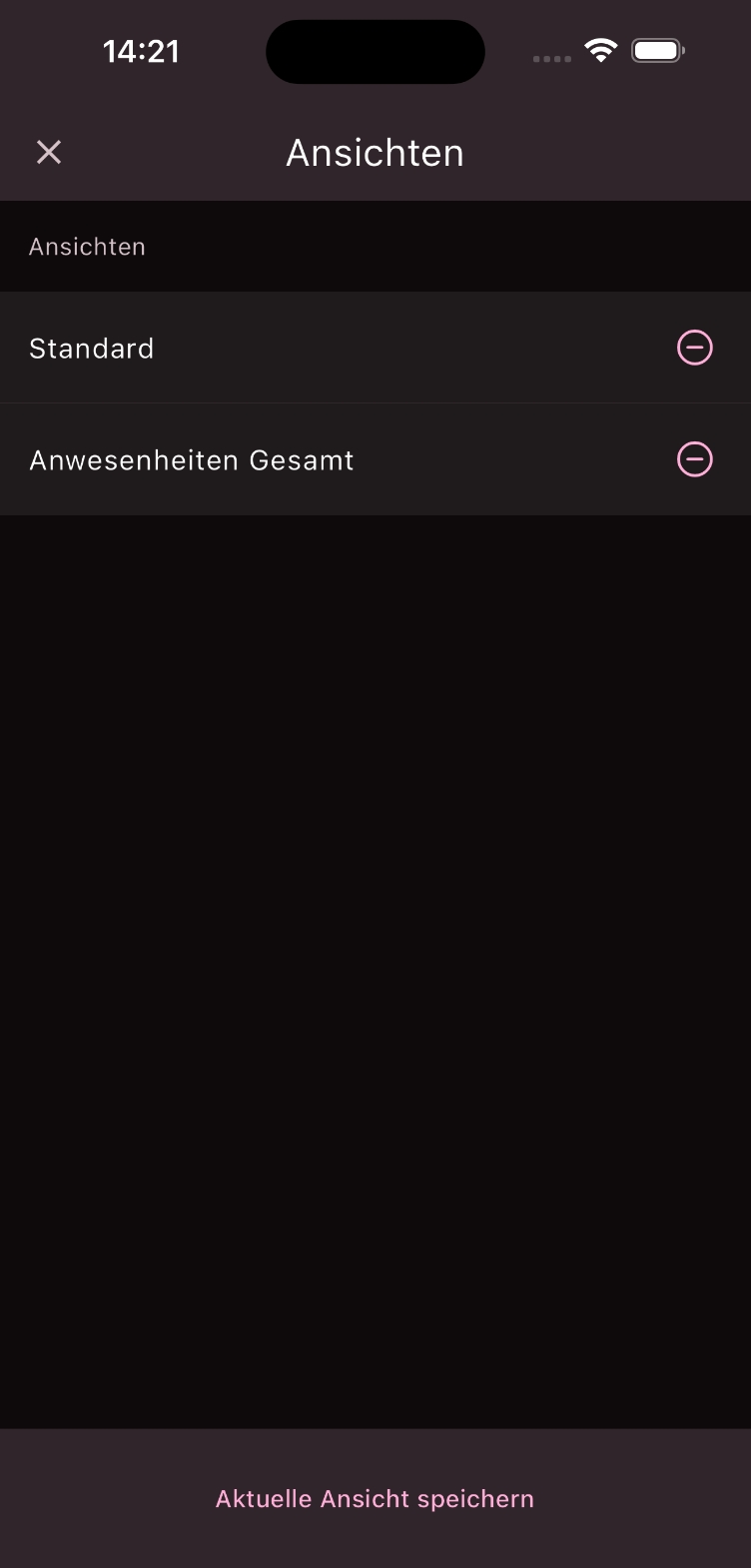 Aktuelle Ansicht speichern